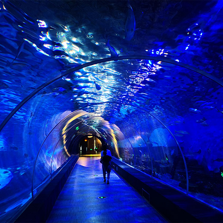 Acuario t&uacute;nel acr&iacute;lico - f&aacute;brica