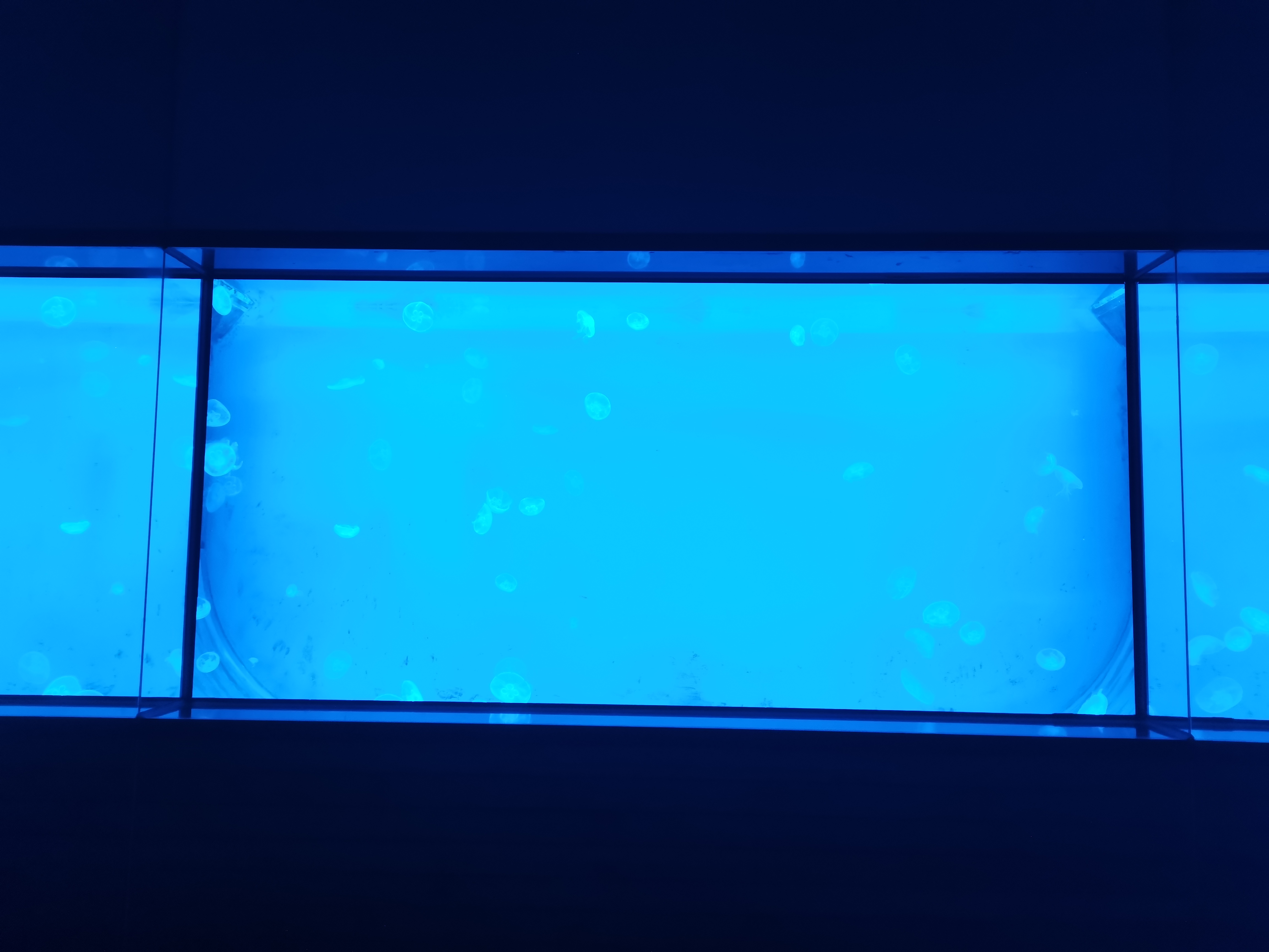 Acuario de medusas acr&iacute;lico - fabricaci&oacute;n