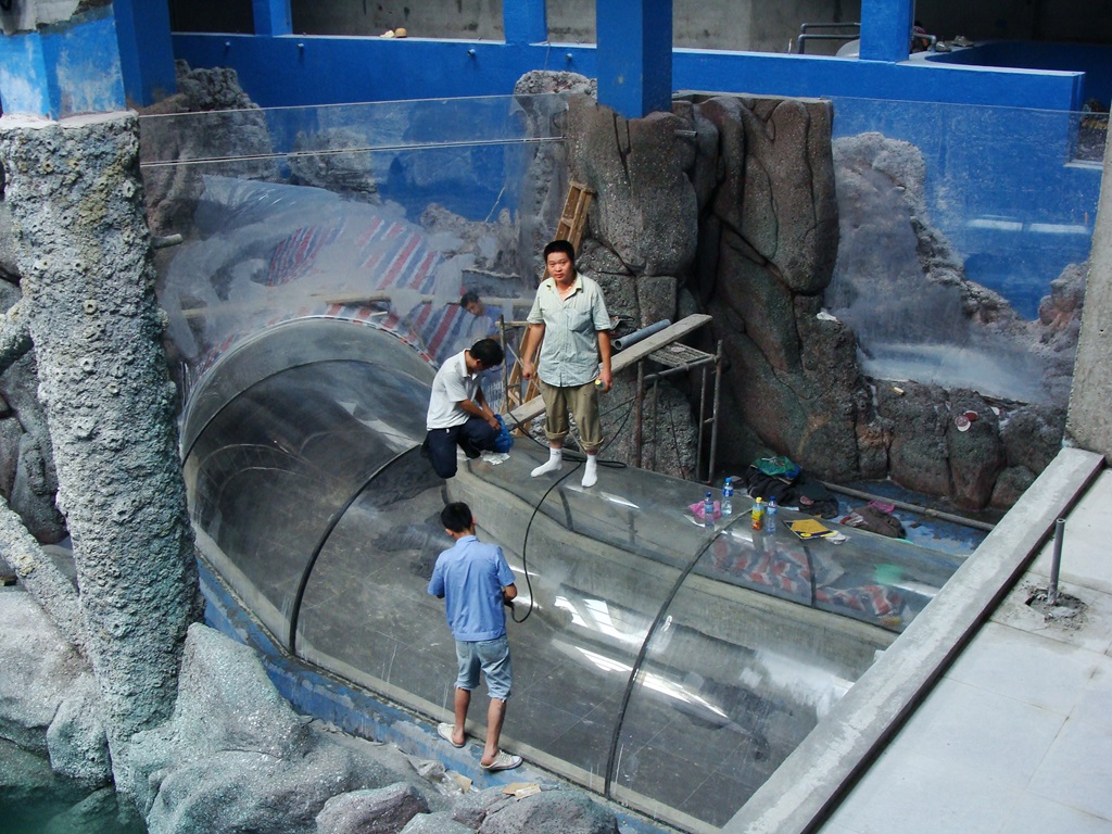 Hefei Hanhai Polar Ocean World - T&uacute;nel del acuario Leyu (3)