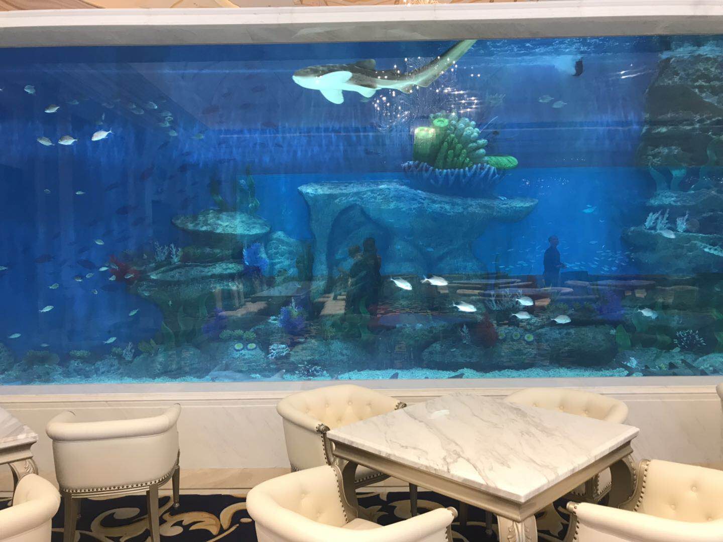Acuario cil&iacute;ndrico acr&iacute;lico - INSTALACI&Oacute;N LEYU