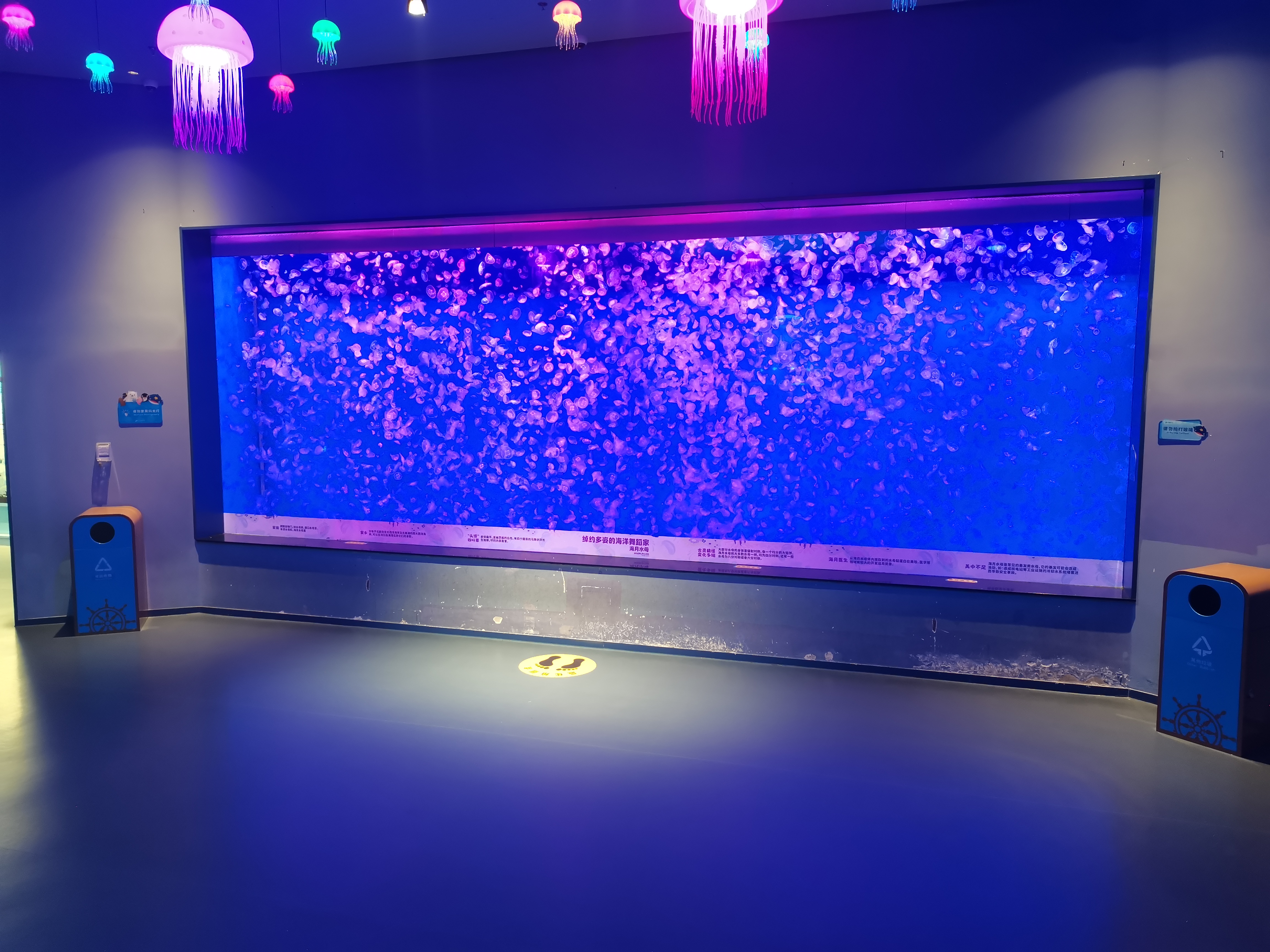 Piscina acr&iacute;lica para peces - LEYU