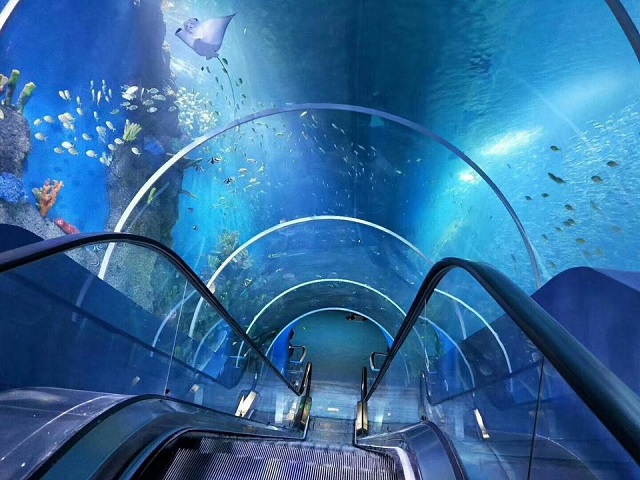 Instalaci&oacute;n del t&uacute;nel del acuario - Leyu