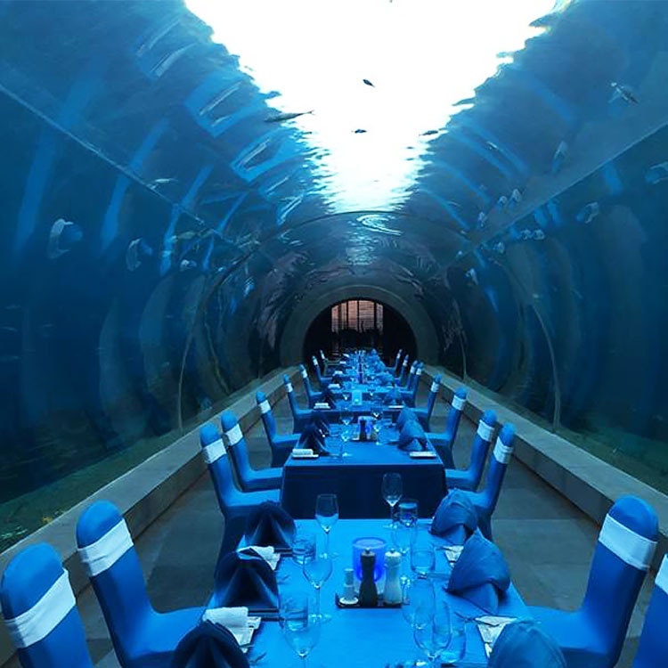 Acuario t&uacute;nel acr&iacute;lico - LEYU ACRYLIC
