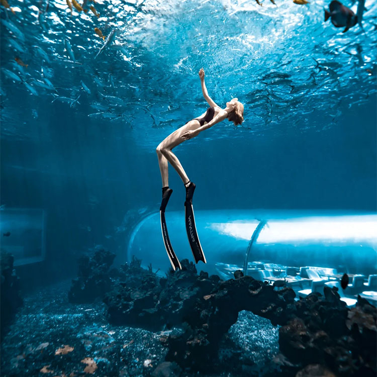  Instalaci&oacute;n del t&uacute;nel del acuario - Leyu