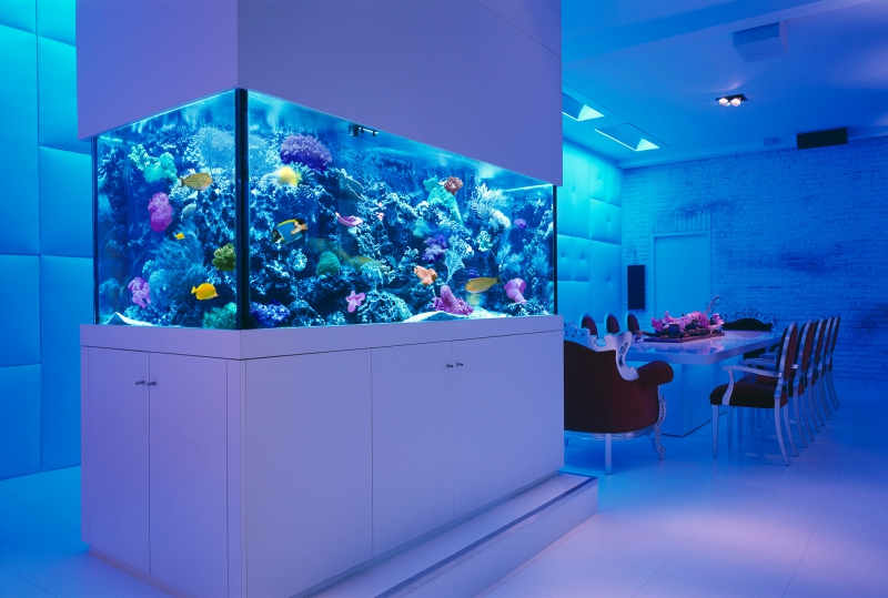 Aquariums Fish Tanks Acuarios Peceras