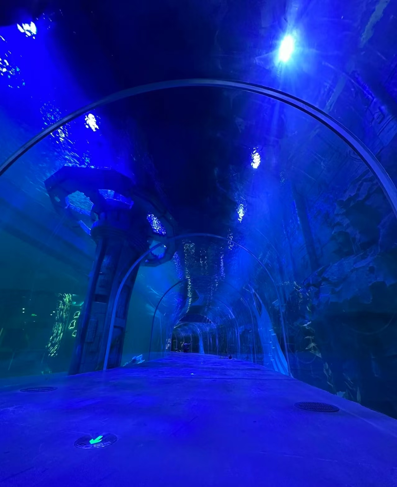 Acuario tunel acr&iacute;lico - Fabricaci&oacute;n
