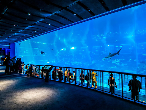 Panel acr&iacute;lico para ventana de acuario - LEYU