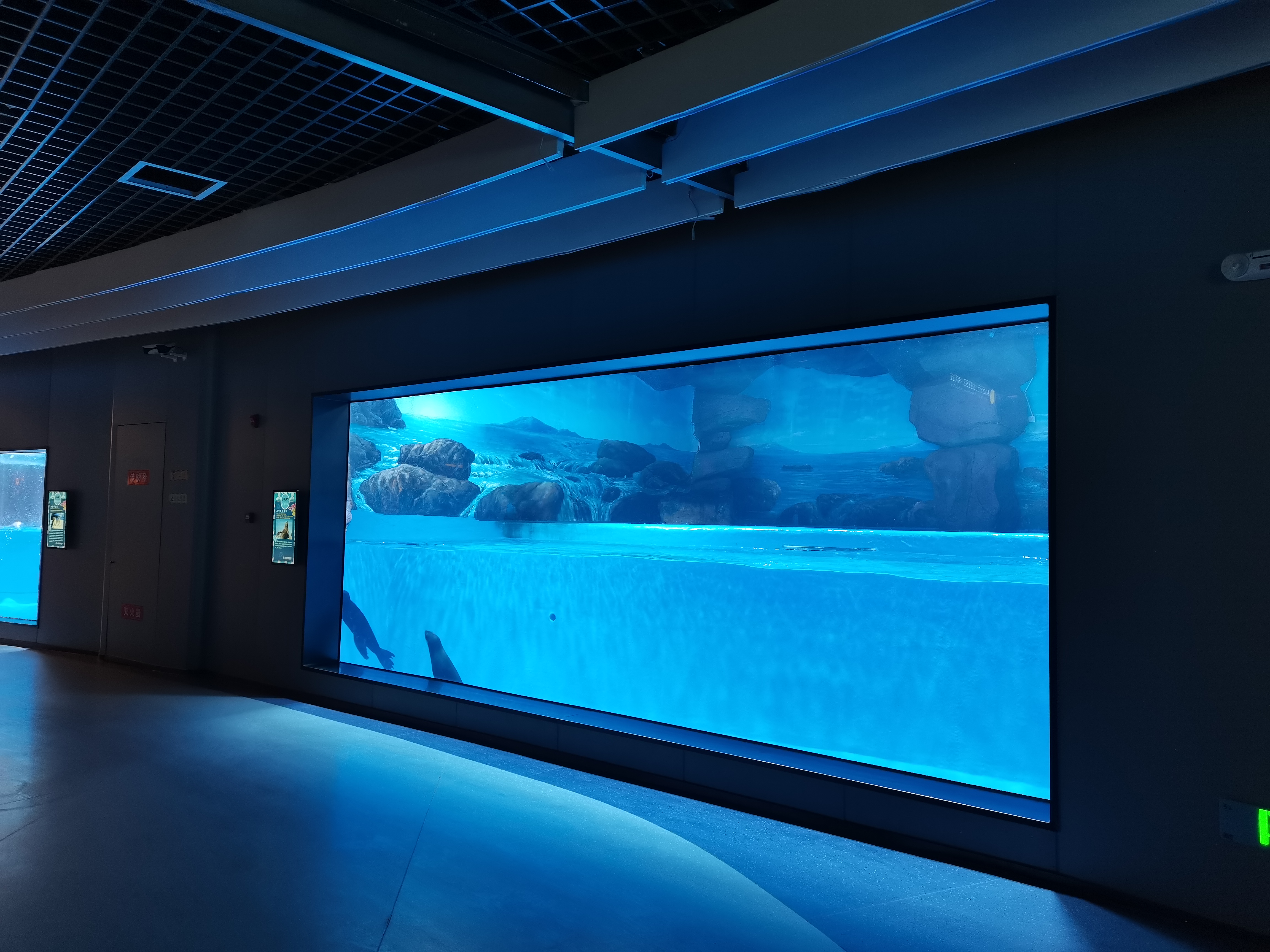 Ventana acr&iacute;lica para acuario - fabricaci&oacute;n
