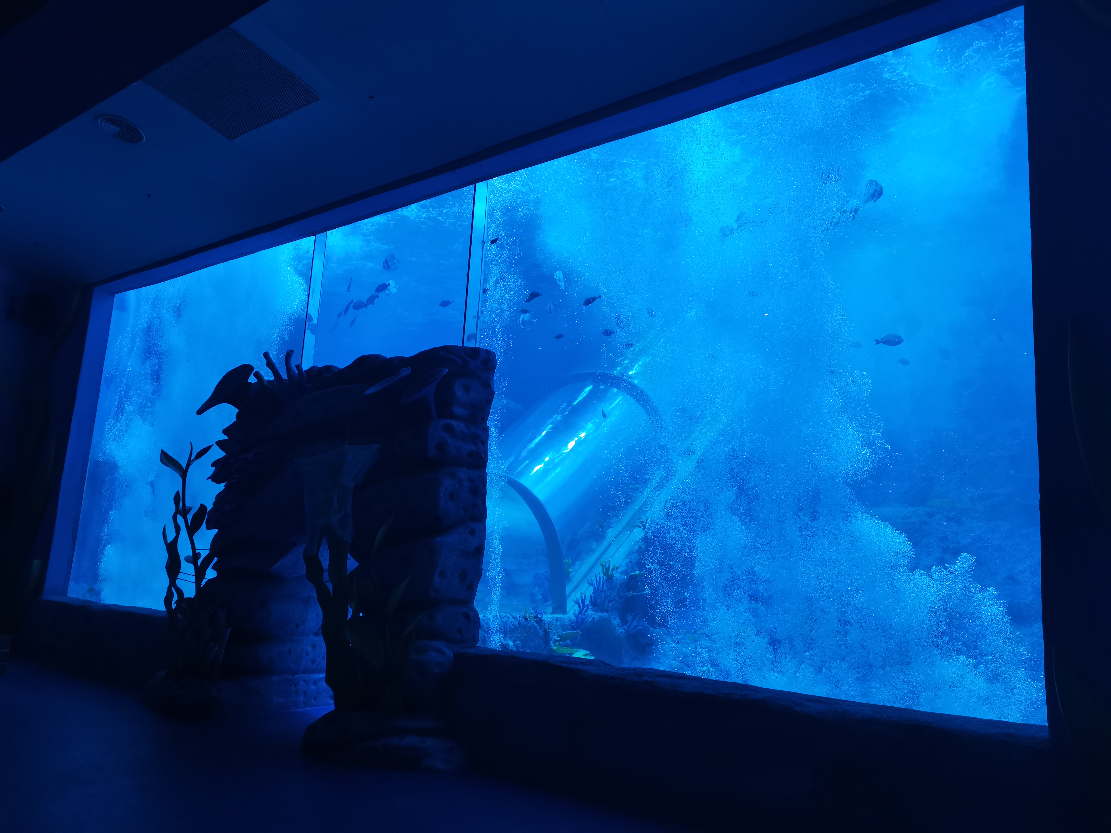 Acuario t&uacute;nel acr&iacute;lico - LEYU ACRYLIC