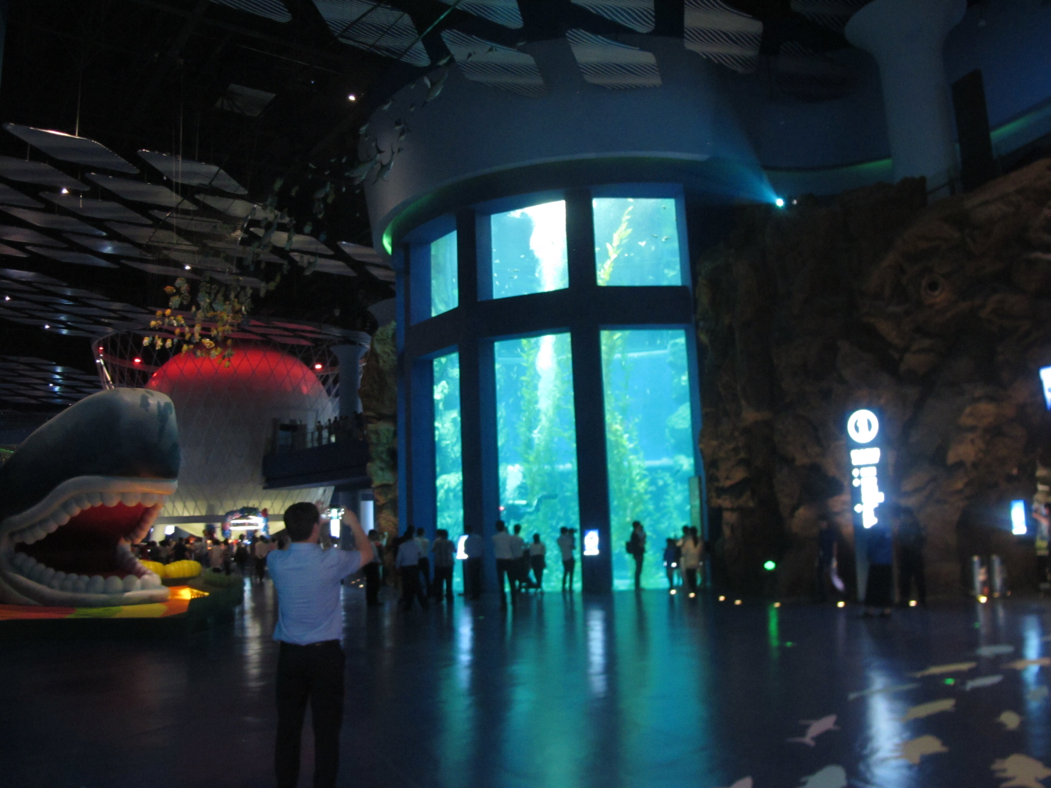 Acuario cil&iacute;ndrico acr&iacute;lico - INSTALACI&Oacute;N LEYU