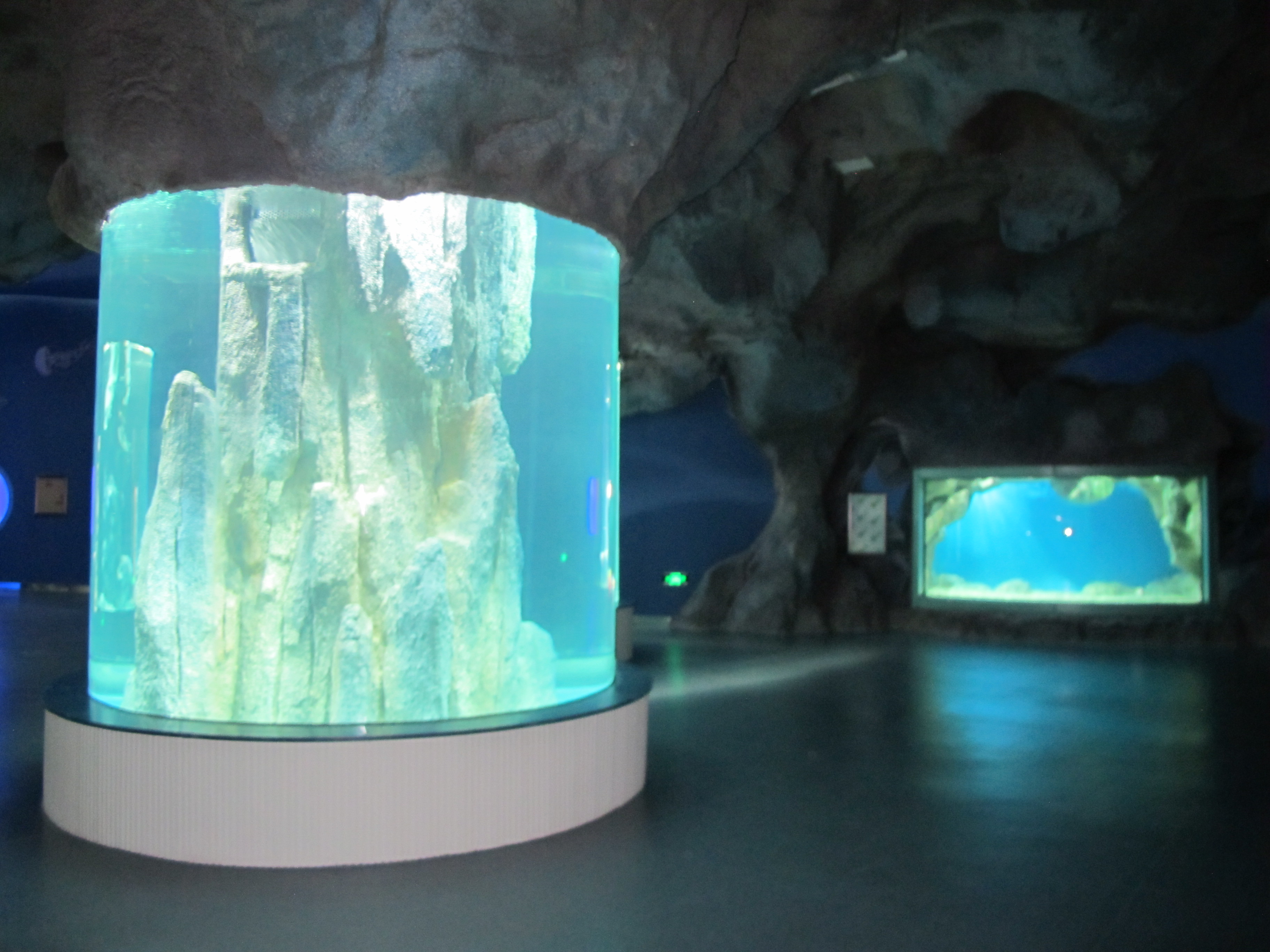 Acuario cil&iacute;ndrico acr&iacute;lico - INSTALACI&Oacute;N LEYU