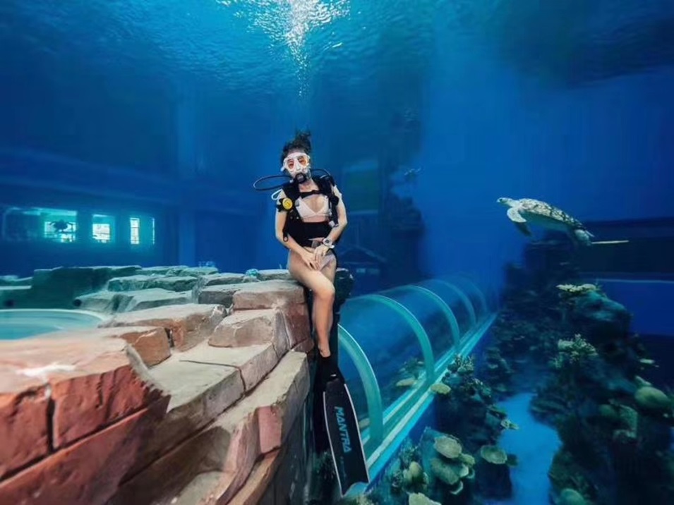 Dali Polar Ocean World - Acuario acr&iacute;lico (2)