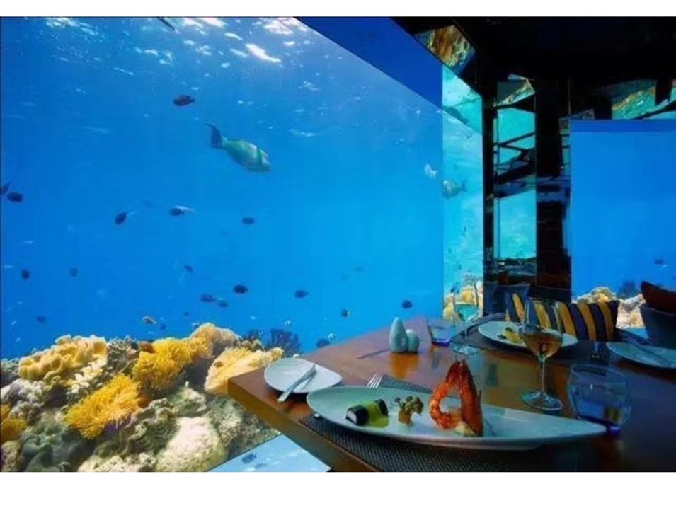 Dali Polar Ocean World - Acuario acr&iacute;lico (3)