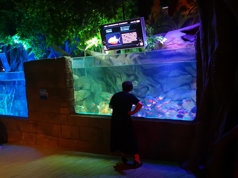 Mundo oce&aacute;nico polar de Chongqing Hanhai - Leyu Arylic Aquarim (2)