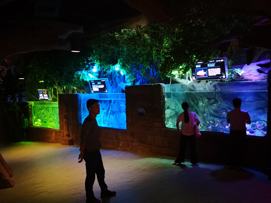 Mundo oce&aacute;nico polar de Chongqing Hanhai - Leyu Arylic Aquarim