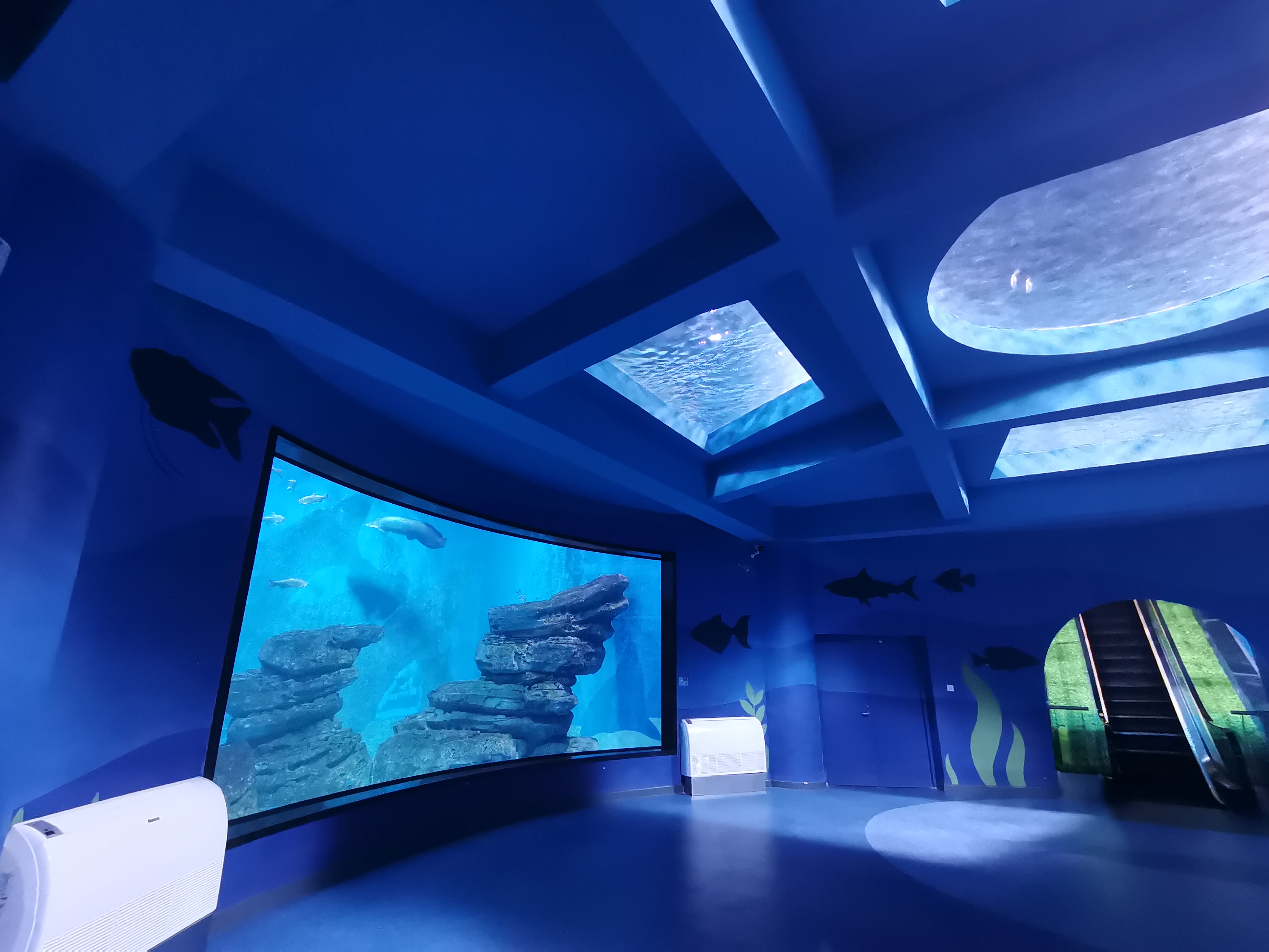 Ventana acr&iacute;lica para acuario - fabricaci&oacute;n