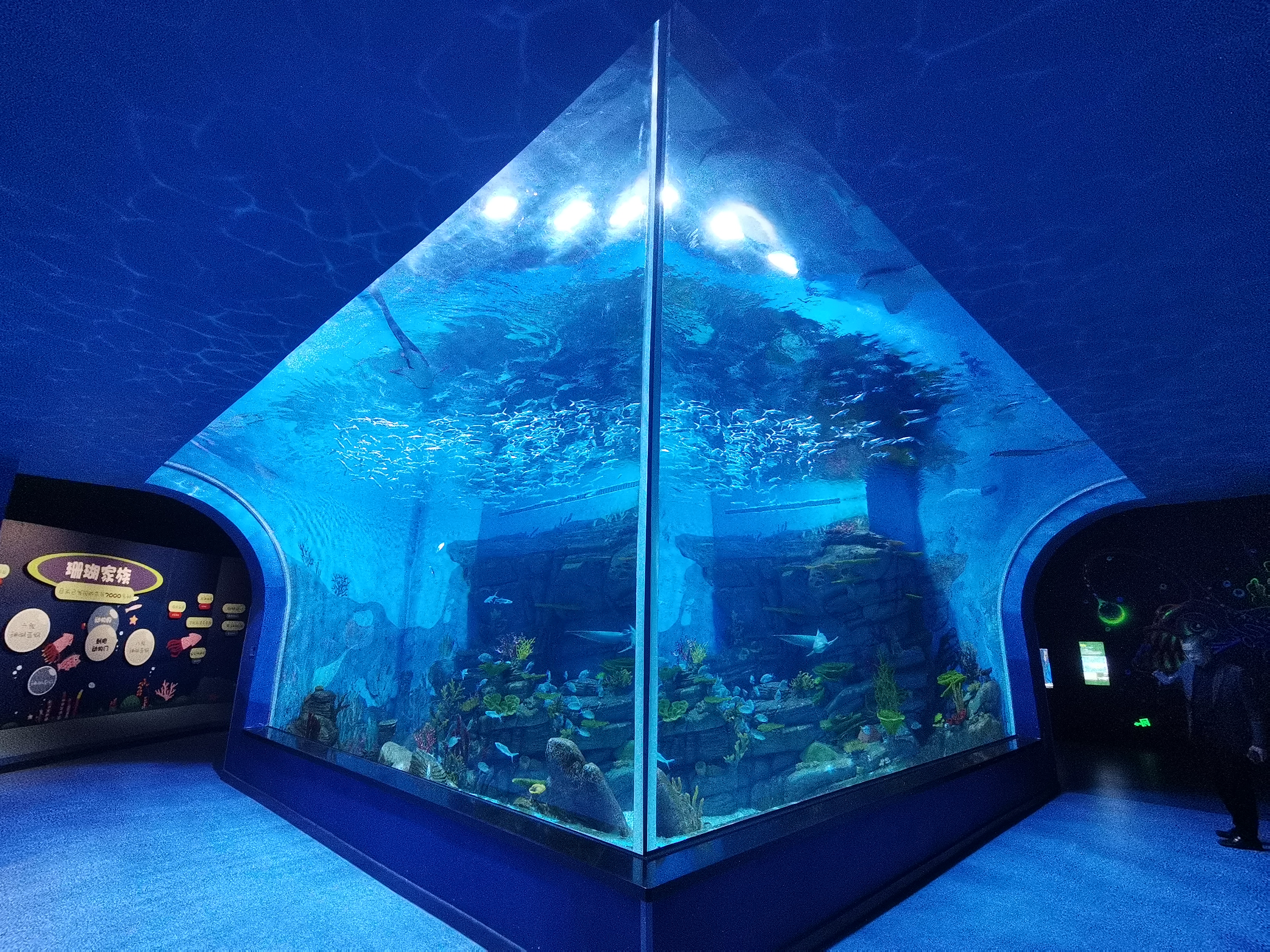 Ventana acr&iacute;lica para acuario - fabricaci&oacute;n