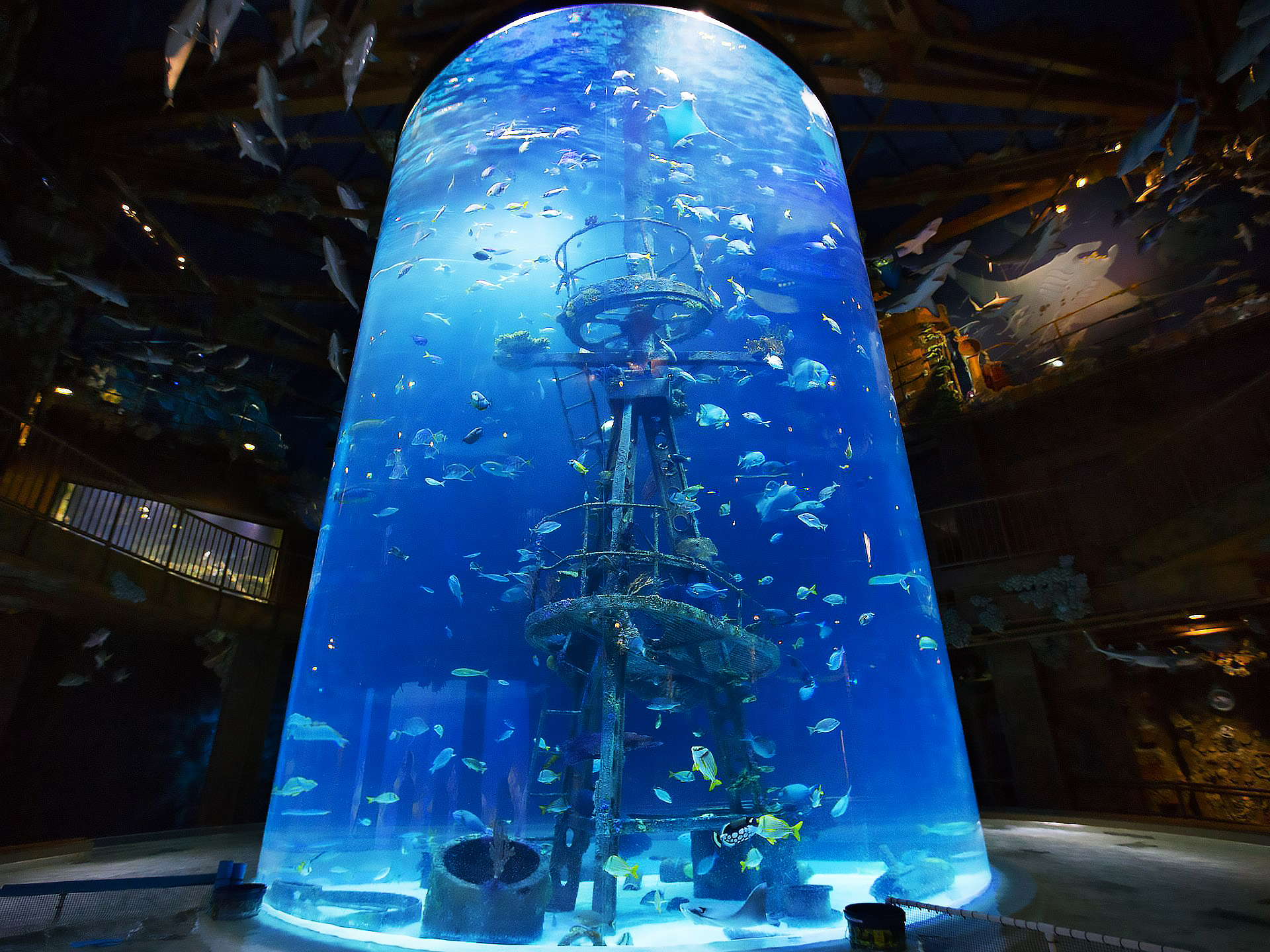 acuario de acr&iacute;lico