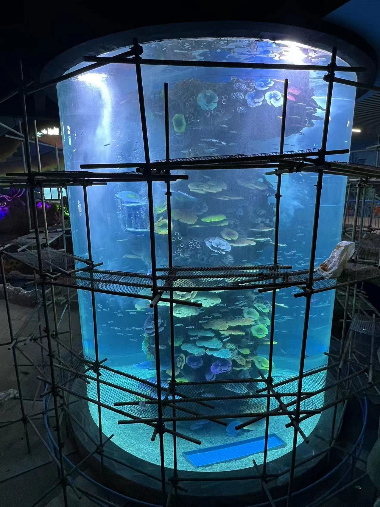 Acuario cil&iacute;ndrico de acr&iacute;lico - instalaci&oacute;n 