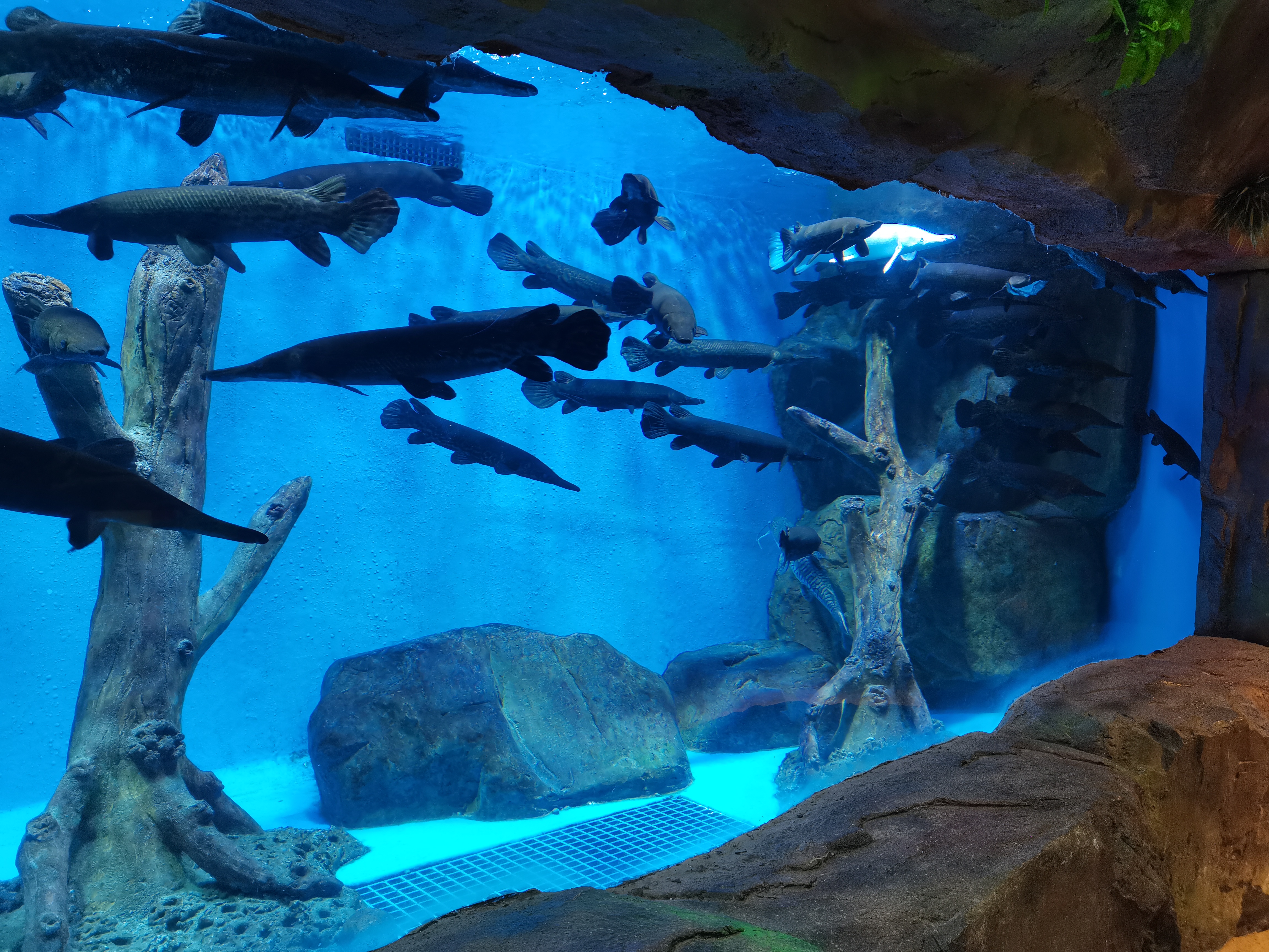 Ventana acr&iacute;lica para acuario - fabricaci&oacute;n