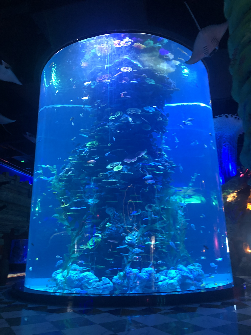 Mundo submarino de Fuzhou Yongtai para acuario acr&iacute;lico