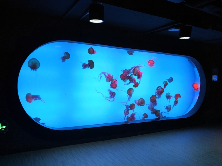 Mundo oce&aacute;nico polar de Chongqing Hanhai - Leyu Arylic Aquarim (5)