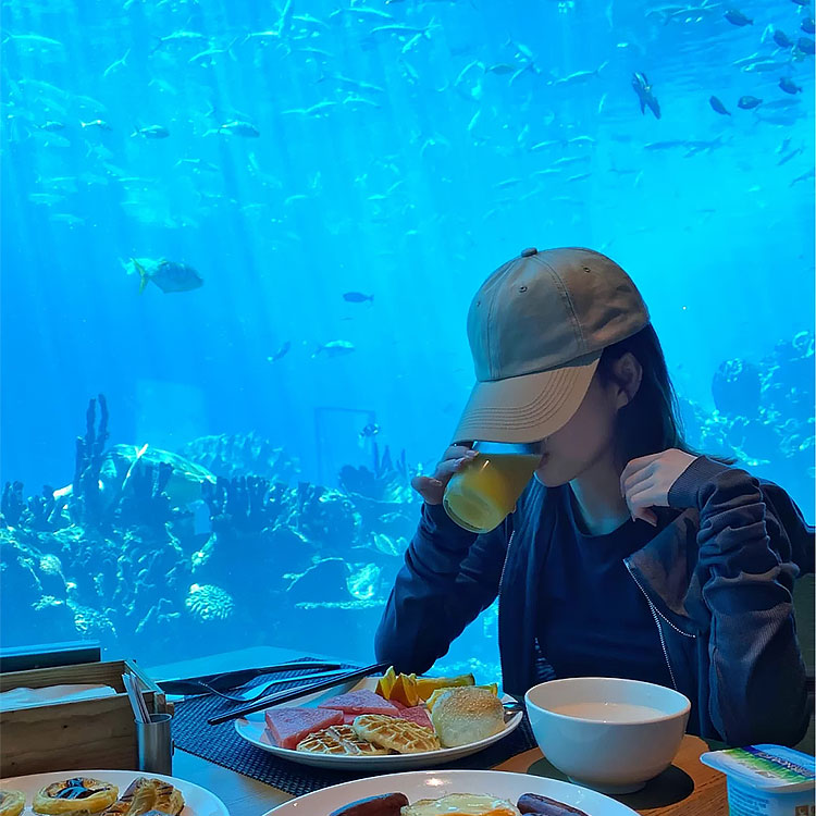 aquarium cafes cafés de acuario