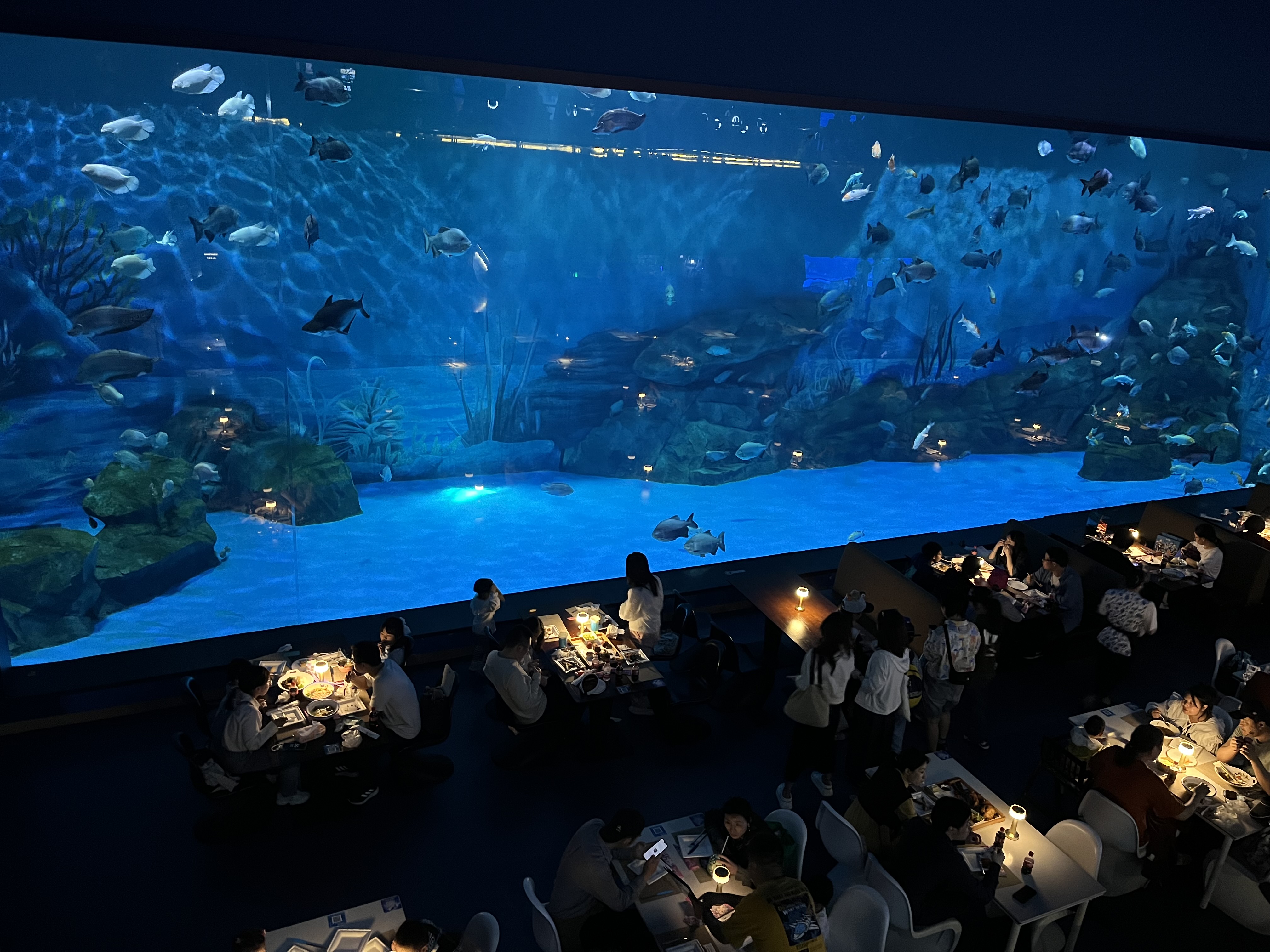 Panel acr&iacute;lico para ventana de acuario - LEYU