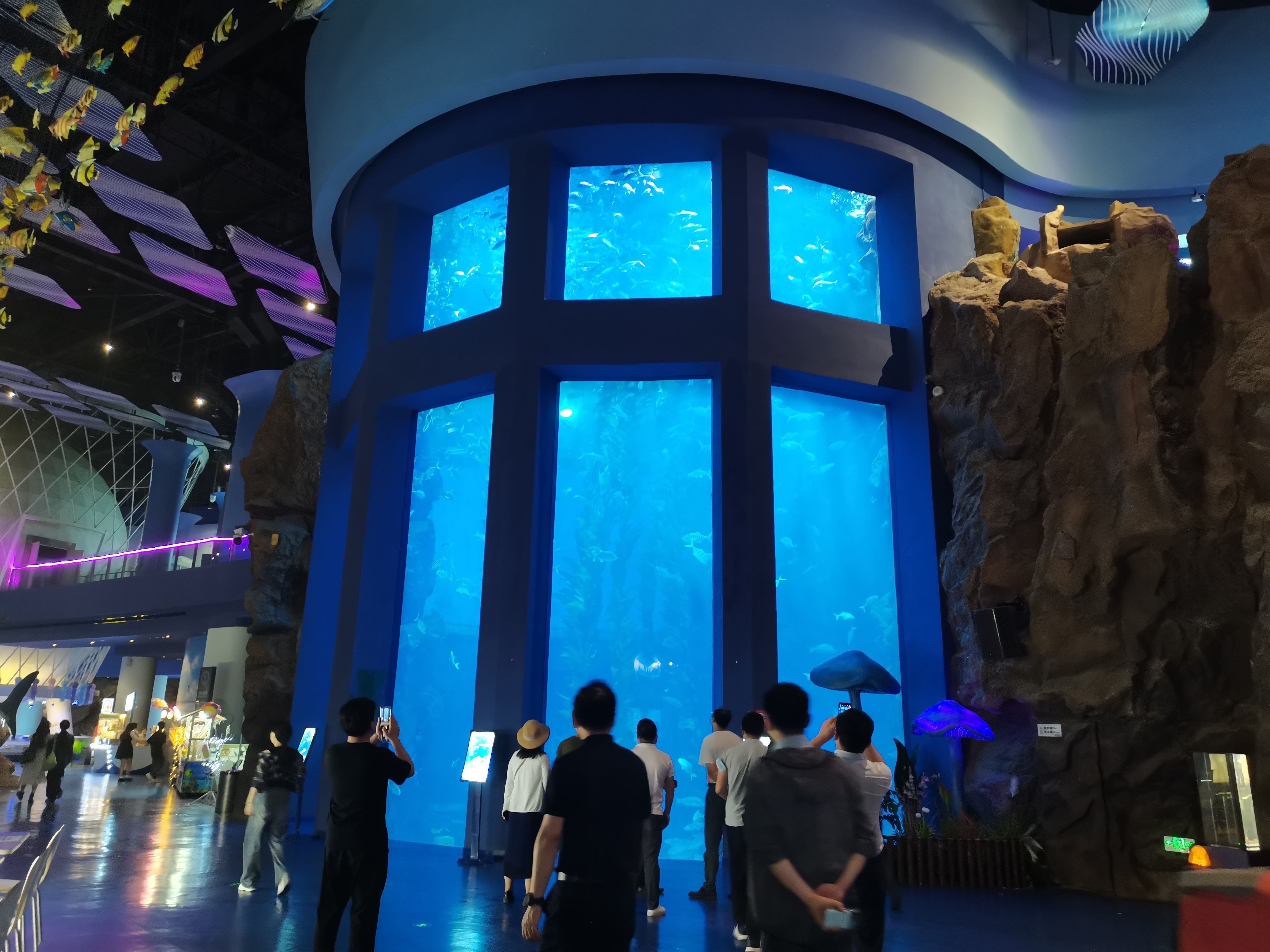 Acuario de ventana acr&iacute;lica - fabricaci&oacute;n