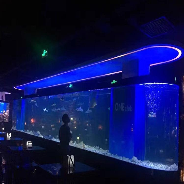 Acuario Bala - ACUARIO LEYU