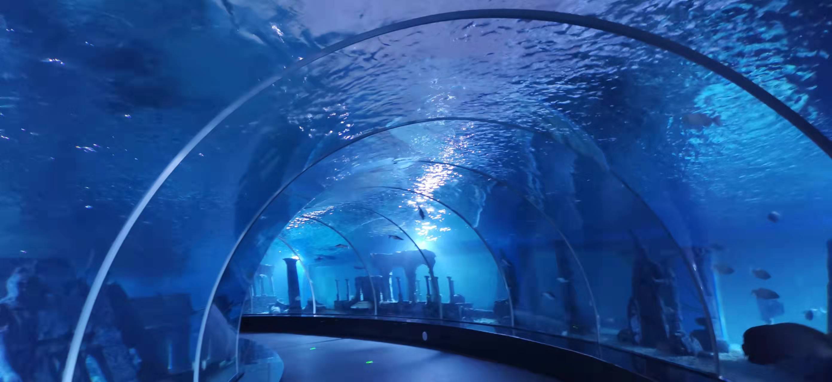 Acuario t&uacute;nel acr&iacute;lico - f&aacute;brica