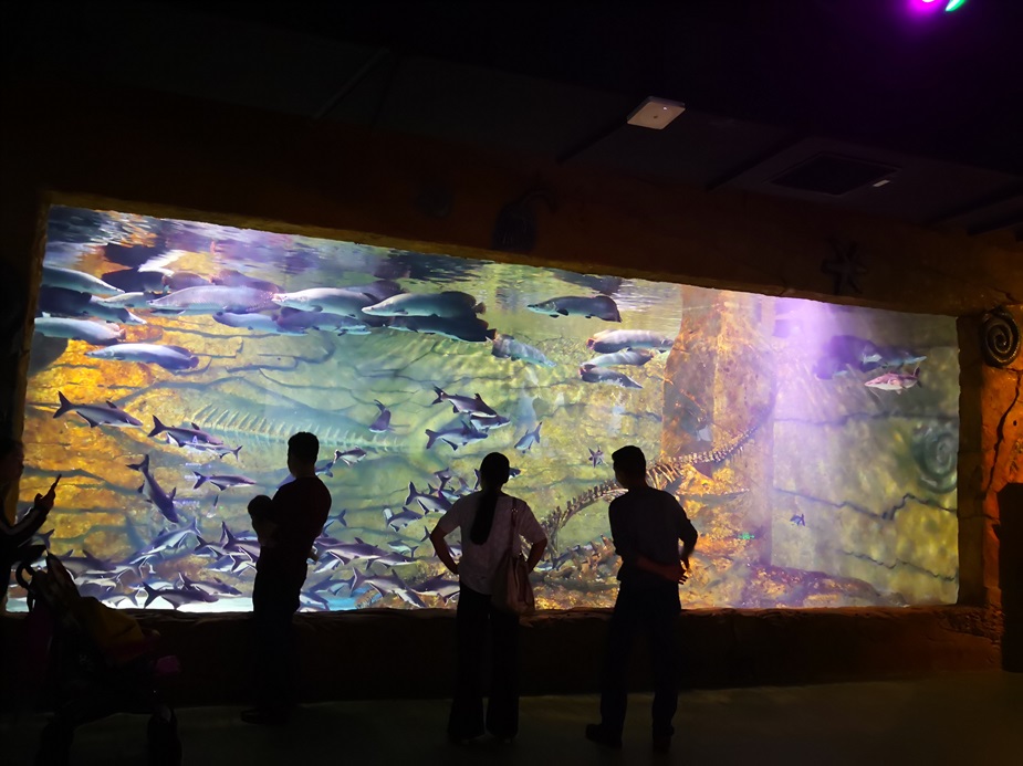 Chongqing Hanhai Polar Ocean World - Ventana Leyu Arylic Aquarim