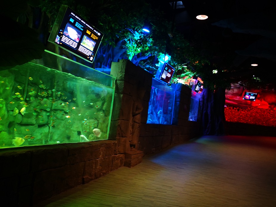 Mundo oce&aacute;nico polar de Chongqing Hanhai - Leyu Arylic Aquarim (3)
