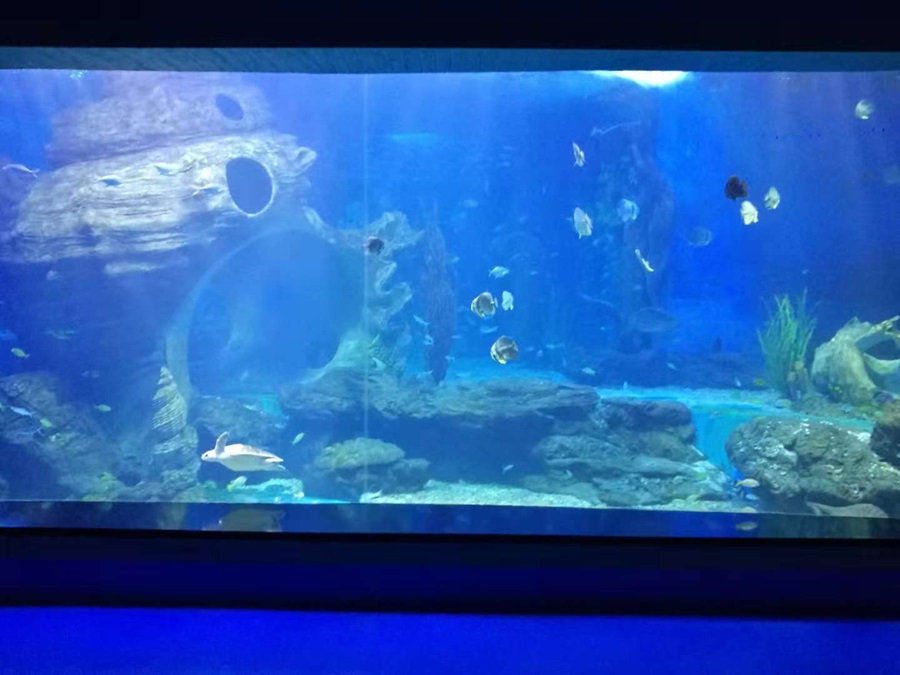 Ventana acr&iacute;lica del acuario Leyu - Longchuan Polar Ocean World en la provincia de Guizhou