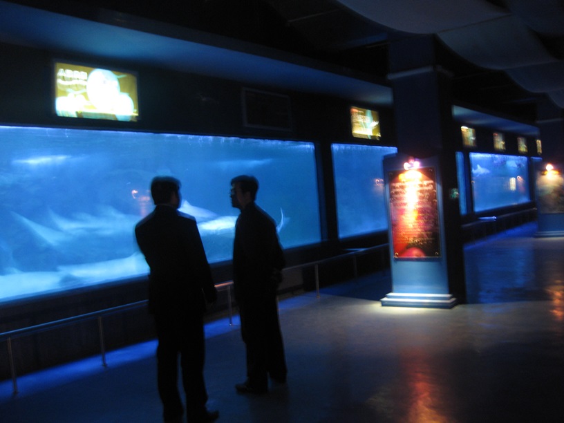 Mundo submarino de Shandong Penglai - Ventana acr&iacute;lica Leyu