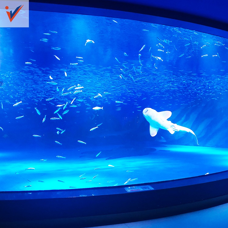 Ventana de visualizaci&oacute;n acr&iacute;lica personalizada de dise&ntilde;o de lujo para acuario