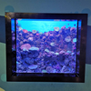 Cómo limpiar ventanas acrílicas en la fábrica de acrílico Ocean Park-leyu