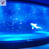 Ventana de visualización acrílica personalizada de diseño de lujo para acuario -Leyu
