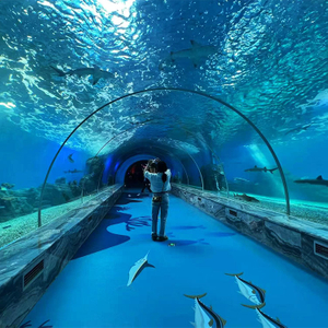360 Aquarium Tunnel Polar Ocean World, Leyu profesional personalizado- Leyu