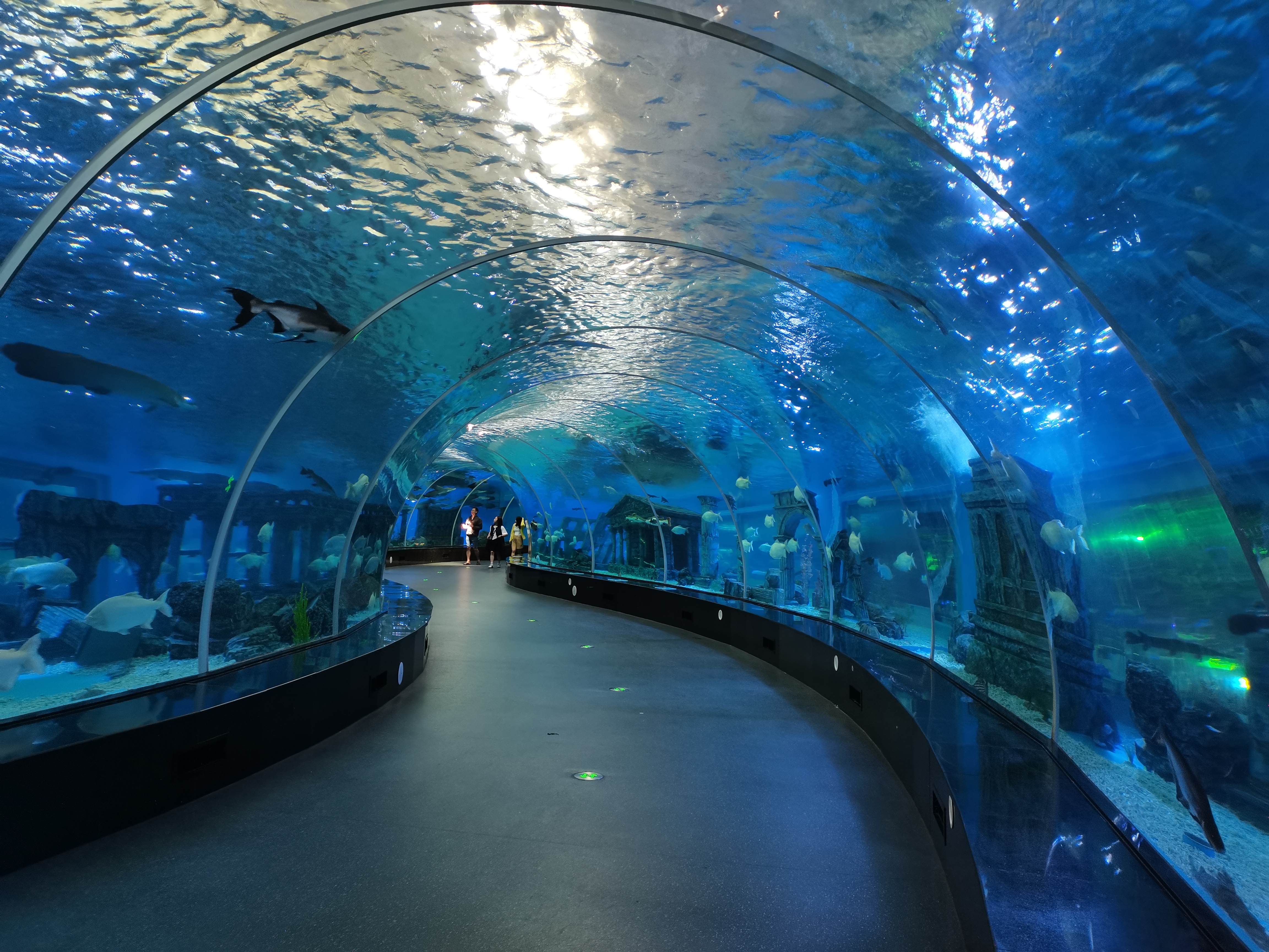 Acuario Aqualife construido por Leyu Acrylic Aquarium Factory - Leyu