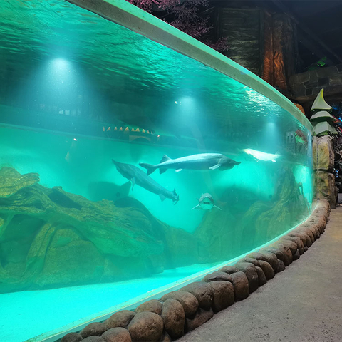 Ventana de acrílico personalizada Acuario Oceanarium-Leyu Fábrica de productos de láminas acrílicas 