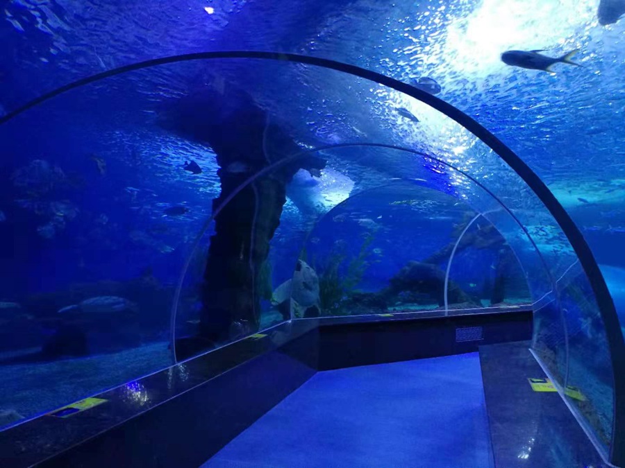 Acuario de túnel acrílico Oceanarium para restaurante submarino o parque oceánico- LEYU