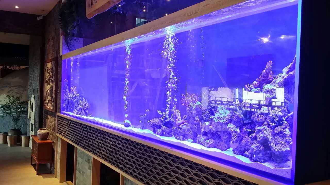 ¿Cuál es la mejor pecera de acuario acrílico en 2024? LEYU Acrylic Fish Tank Factory responderá a sus preguntas - LEYU