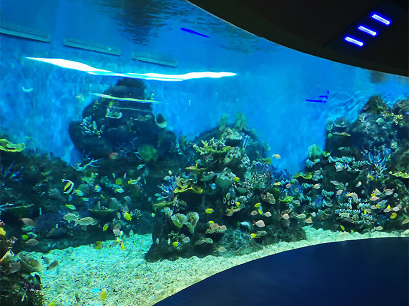 Mundo oceánico polar de Chongqing Hanhai