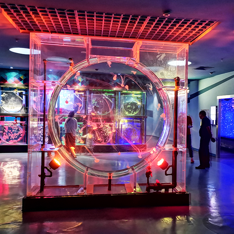 Grandes fabricantes personalizados de peceras acrílicas populares en el Medio Oriente - LEYU 