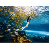 Gran tanque de acuario de oceanario curvo ultra claro, túnel de vidrio acrílico, fábrica de acuarios de acrílico Leyu - Leyu 