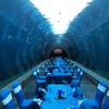 Grandes tanques de acuario de oceanario curvos ultra claros Túnel de vidrio acrílico Fábrica de acuarios de acrílico Leyu - Leyu 