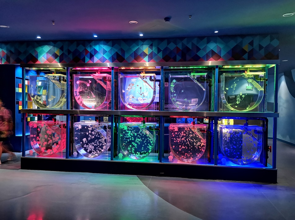 Parque Oceánico Polar Haichang de Shanghai - Leyu Arylic Aquarim