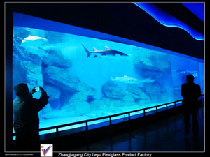 ¿Qué son los oceanarios cerca de mí? Acuario Acrílico - Leyu