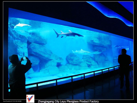 ¿Qué son los oceanarios cerca de mí? Acuario Acrílico - Leyu